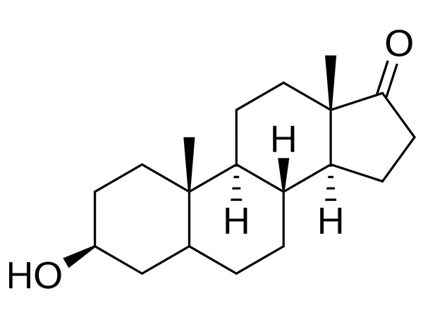 Epiandrosterone کیا ہے اور یہ جدید ہارمون ریسرچ میں کیوں مقبول ہو رہا ہے۔
